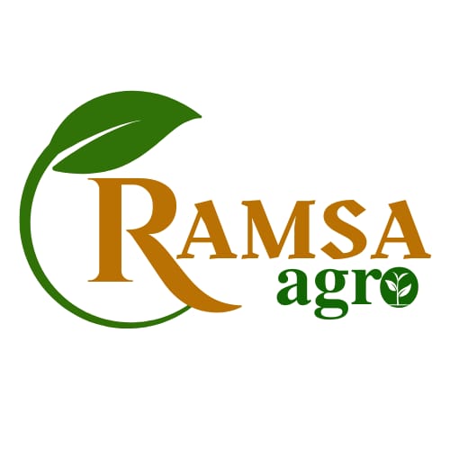 WhatsApp Image 2025-09-20 at 8.33.19 PM