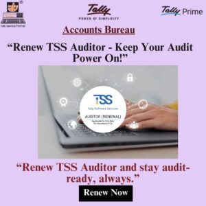 Tally Software Services - Auditor