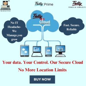 Tally on cloud ( Single user)